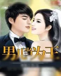 《男儿当为王》小说封面