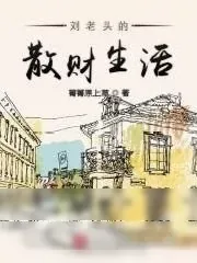 《刘老头的散财生活》小说封面