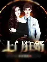 《上门狂婿》小说封面