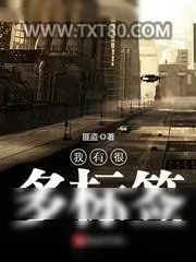 《我有很多标签》小说封面