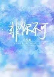 《非你不可》小说封面