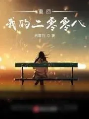 《重回我的二零零八》小说封面