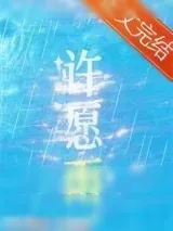 《许愿雨》小说封面