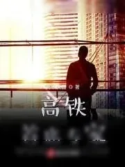 《高铁首席专家》小说封面
