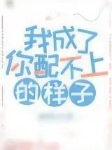 《我成了你配不上的样子》小说封面