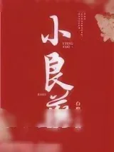 《小良药》小说封面