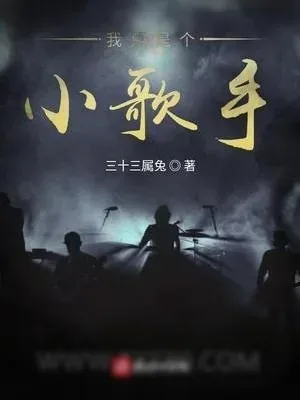 《我只是个小歌手》小说封面