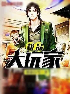 《极品大玩家》小说封面