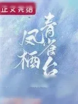 《凤栖青雀台[重生]》小说封面