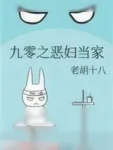 《九零之恶妇当家》小说封面