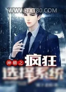 《神婿之疯狂选择系统》小说封面