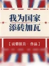 《我为国家添砖加瓦》小说封面