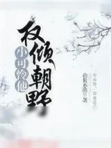 《小可怜他权倾朝野了！》小说封面