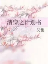 《清穿之计划书》小说封面