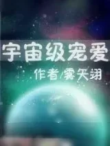 《宇宙级宠爱》小说封面