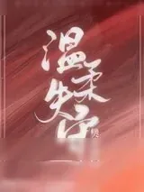 《温柔失守》小说封面