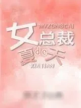 《女总裁的夏天》小说封面