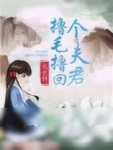 《撸毛撸回个夫君》小说封面