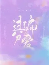《过分偏爱》小说封面