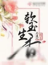《软玉生香（重生）》小说封面