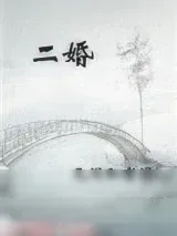 《二婚》小说封面