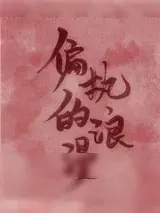 《偏执的浪漫》小说封面
