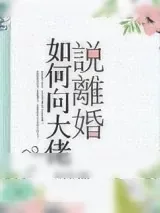 《如何向大佬说离婚》小说封面