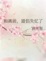 《和离前，道侣失忆了》小说封面