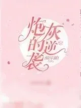 《娱乐圈炮灰的逆袭》小说封面