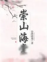 《崇山海棠》小说封面
