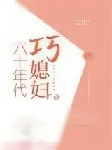 《六十年代巧媳妇》小说封面