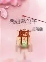 《恶妇养包子》小说封面