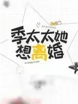 《季太太她想离婚》小说封面
