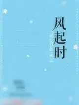 《风起时》小说封面