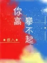 《你高攀不起》小说封面