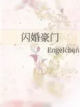 《闪婚豪门》小说封面
