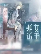 《非诉女王》小说封面
