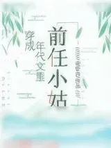 《穿成年代文里的前任小姑》小说封面