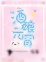 《酒酿元宵》小说封面