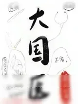 《大国医》小说封面