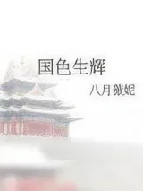 《国色生辉》小说封面