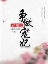 《穿越之争做宠妃》小说封面