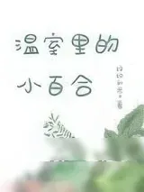 《温室里的小百合》小说封面