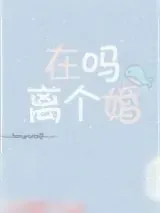 《在吗，离个婚》小说封面