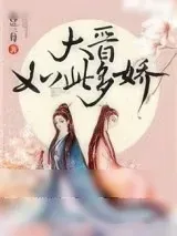 《大晋如此多娇》小说封面