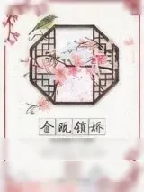 《金瓯锁娇》小说封面