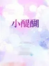 《小醍醐》小说封面