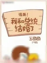 《我和总统结婚了》小说封面