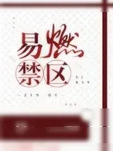 《易燃禁区》小说封面