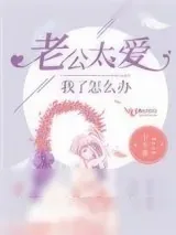 《老公太爱我了怎么办》小说封面